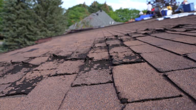 Fast & Reliable Emergency Roof Repairs in Maywood, IL